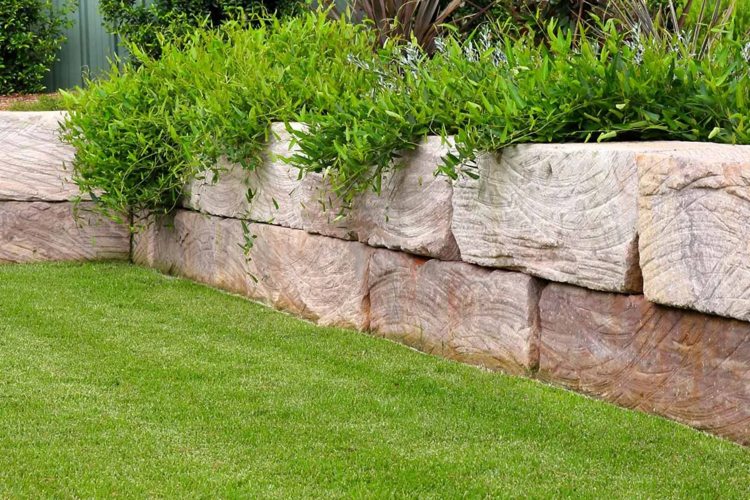 Sandstone block retaining wall with greenery above a lawn
