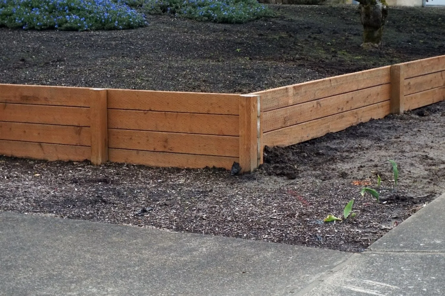 Low treated pine retaining wall around a garden bed